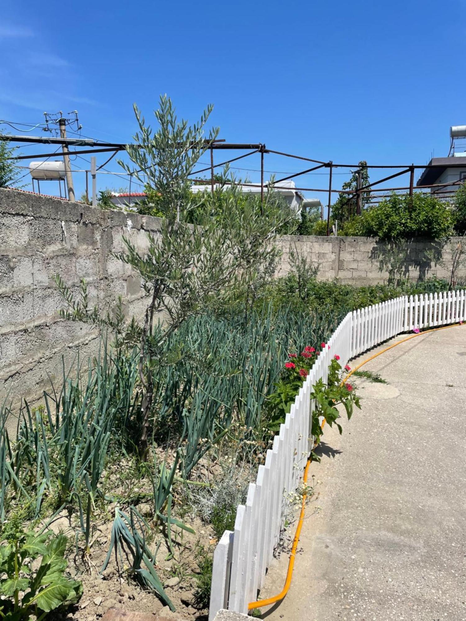Rental Houses Dukaj Wlora Zewnętrze zdjęcie